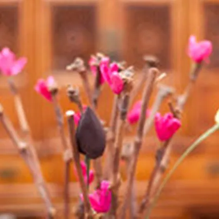 Apartamento Lisboa Lisboa