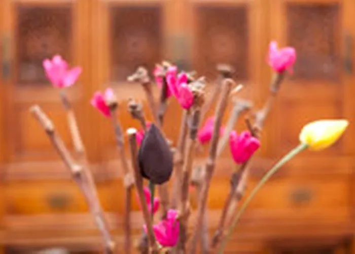 Apartamento Lisboa Lisboa